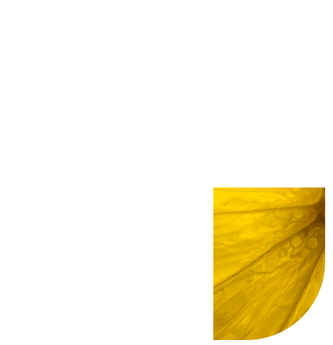 Ignition_feat_Data Maturity Assessment Workshop2-min
